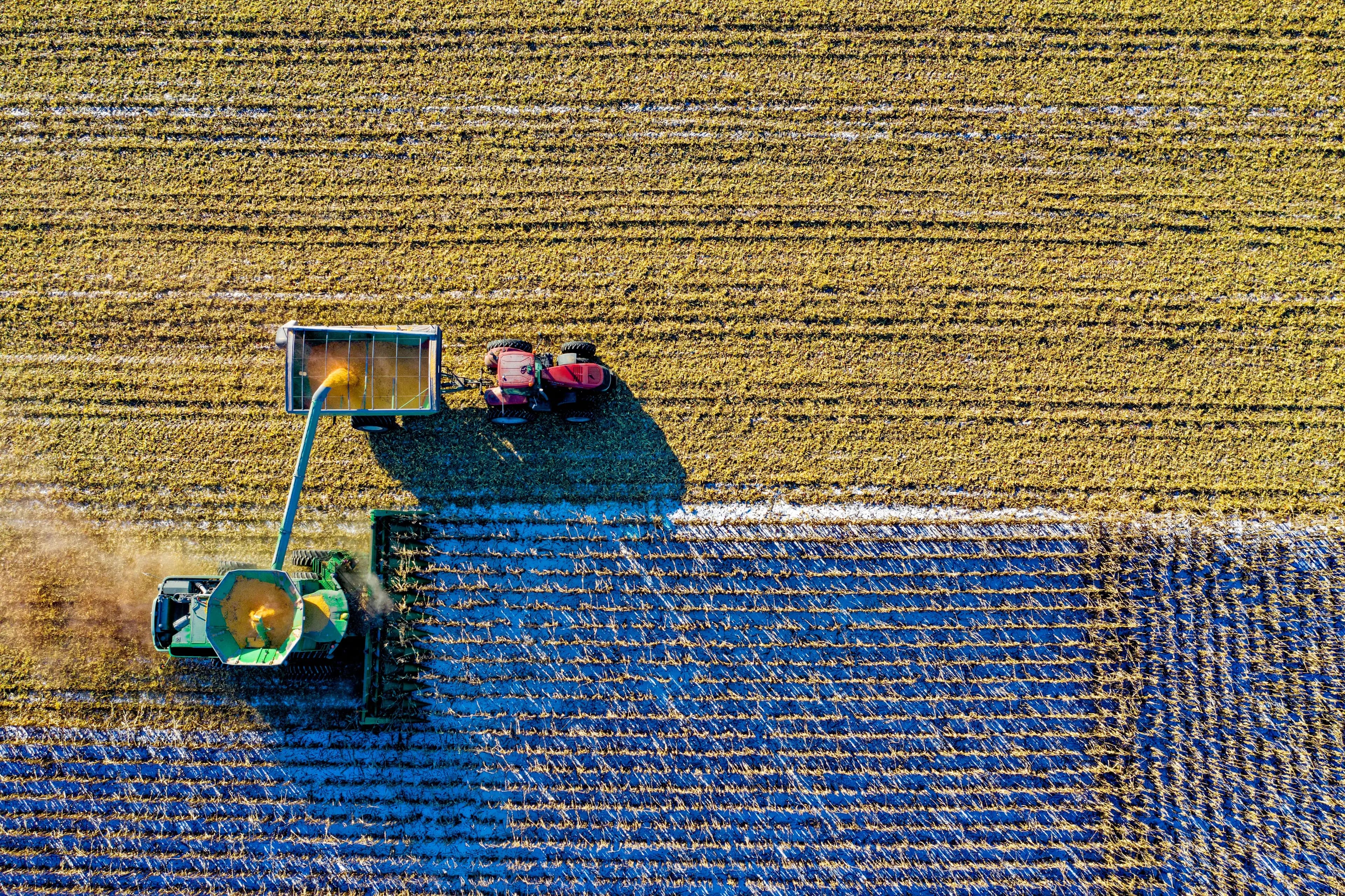 Nigerian farmland